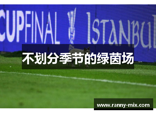 不划分季节的绿茵场